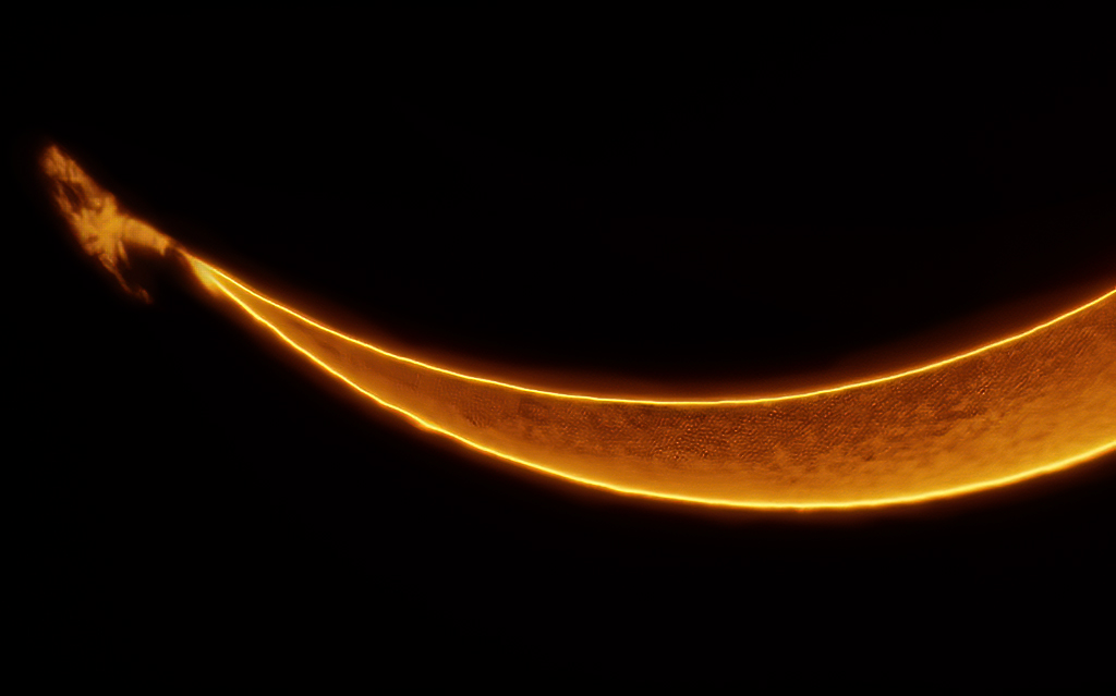 Eclipse photography with ZWO ASI678MC and LUNT LS40THa/B500