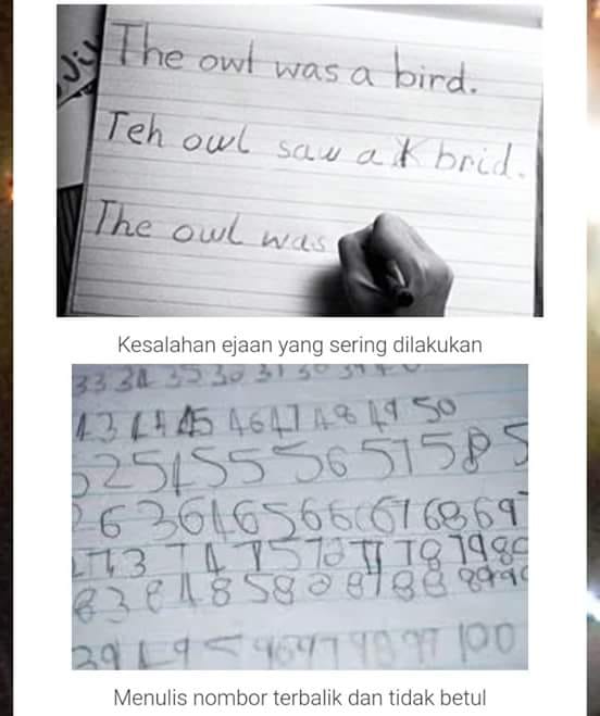 Int3tree Tingkatkan Daya Ingatan Dan Fokus Anak Anak Ciri Ciri Kanak Kanak Disleksia Dan Apa Tindakan Kita Sebagai Ibu Bapa Anak Anak Kita Jika Pernah Kita Dapati Mereka Lambat Bertutur Susah Ingat Apa Yang