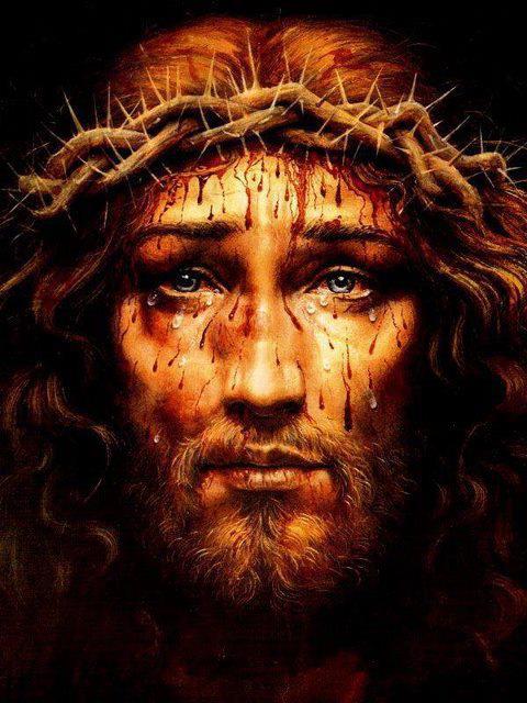Fr. Mike’s Daily Homily Saturday –... - Fr. Mike's Homilies | Facebook