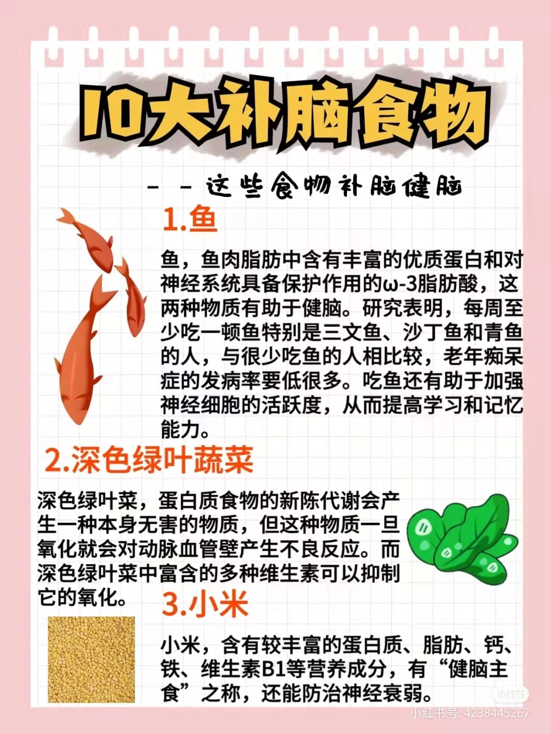 九吉公（北海） - 🌻 10大补脑食物 - 这些食物补脑健脑