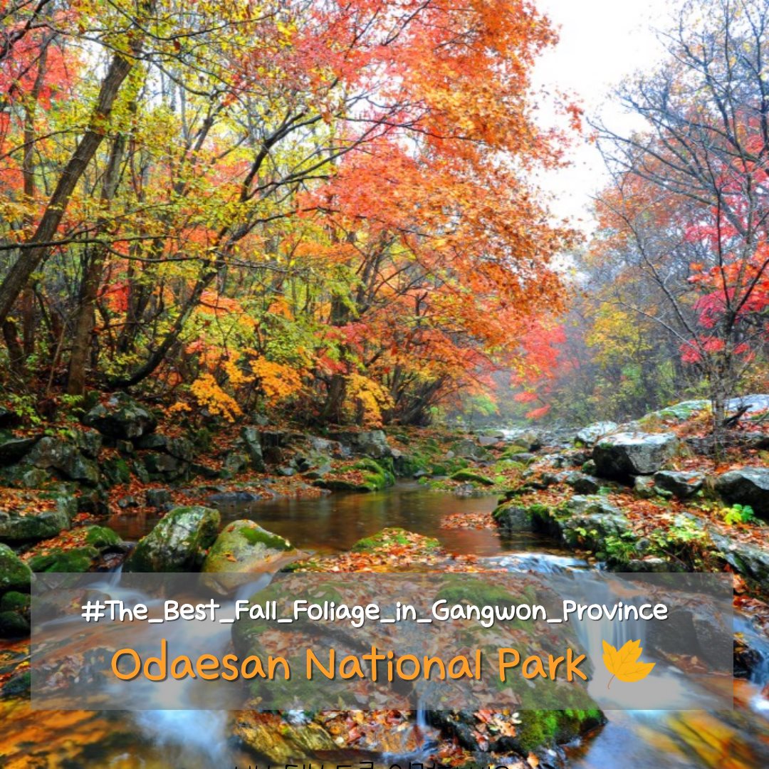 Gangwon State - For many Koreans, the first place that...