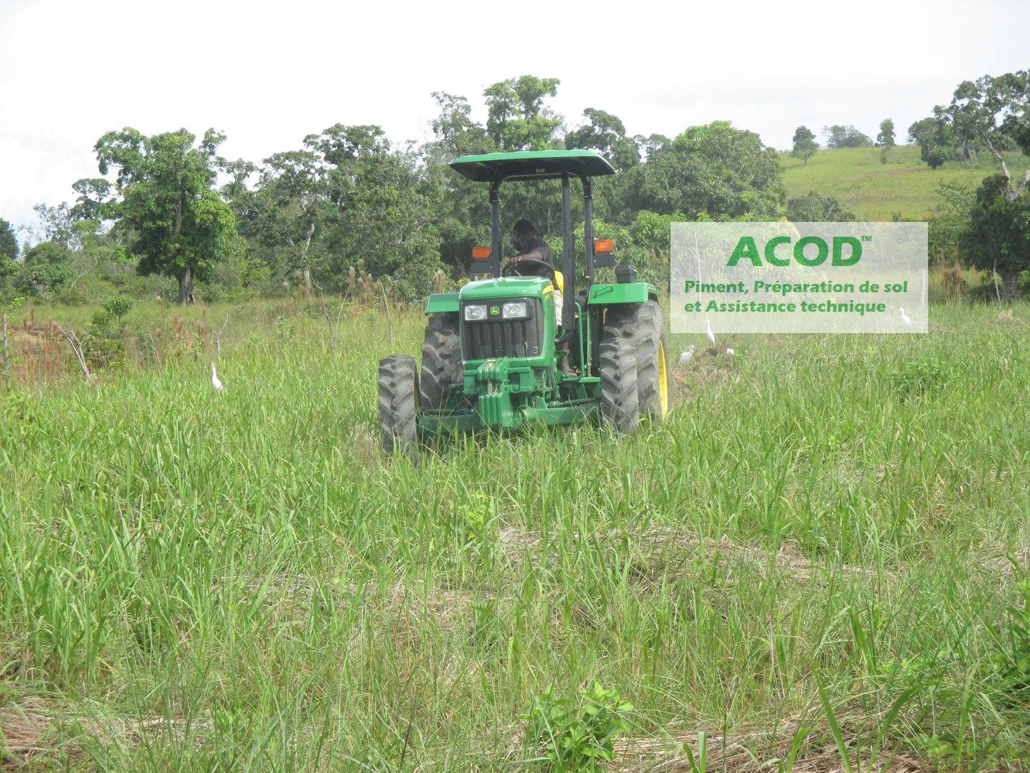 ACOD (Action et Cooperation en Developpement) | Mont Organisé
