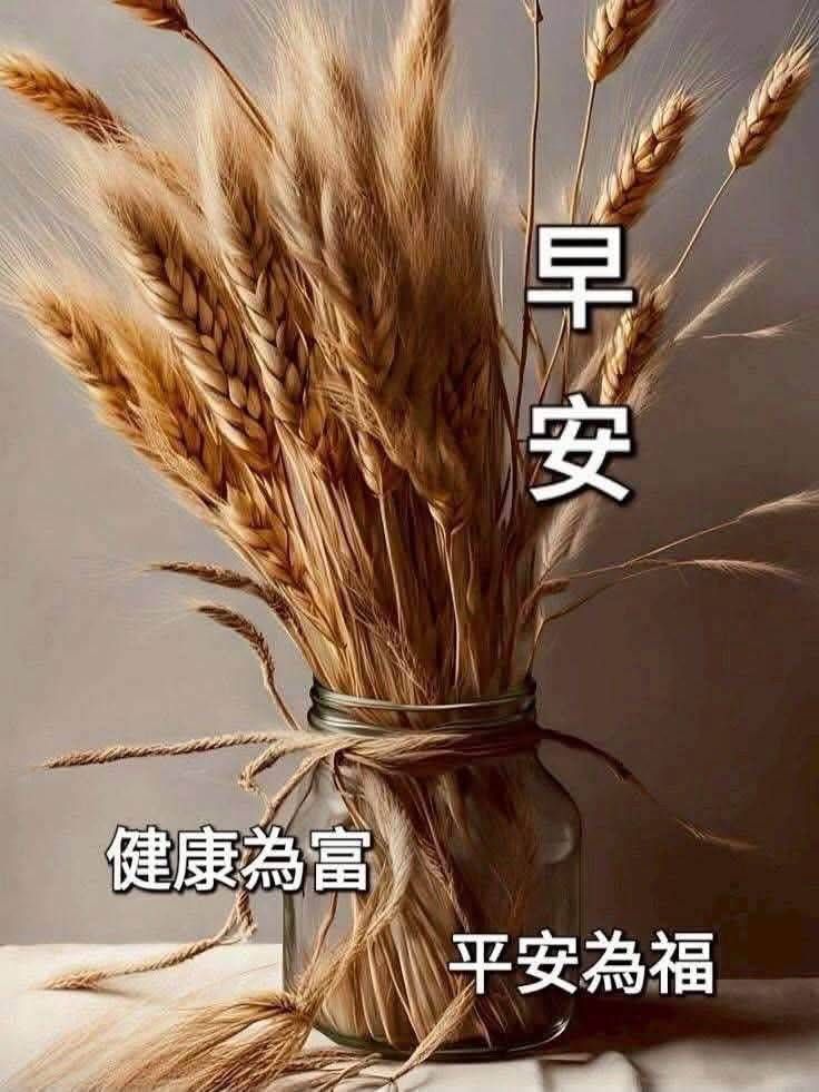 早安事事如意如日安您好呀有一種快樂叫簡單身6 有一種幸福叫滿足滿足
