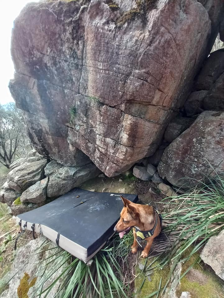 🌾 Did you know that there... - Canberra Indoor Rock Climbing | Facebook