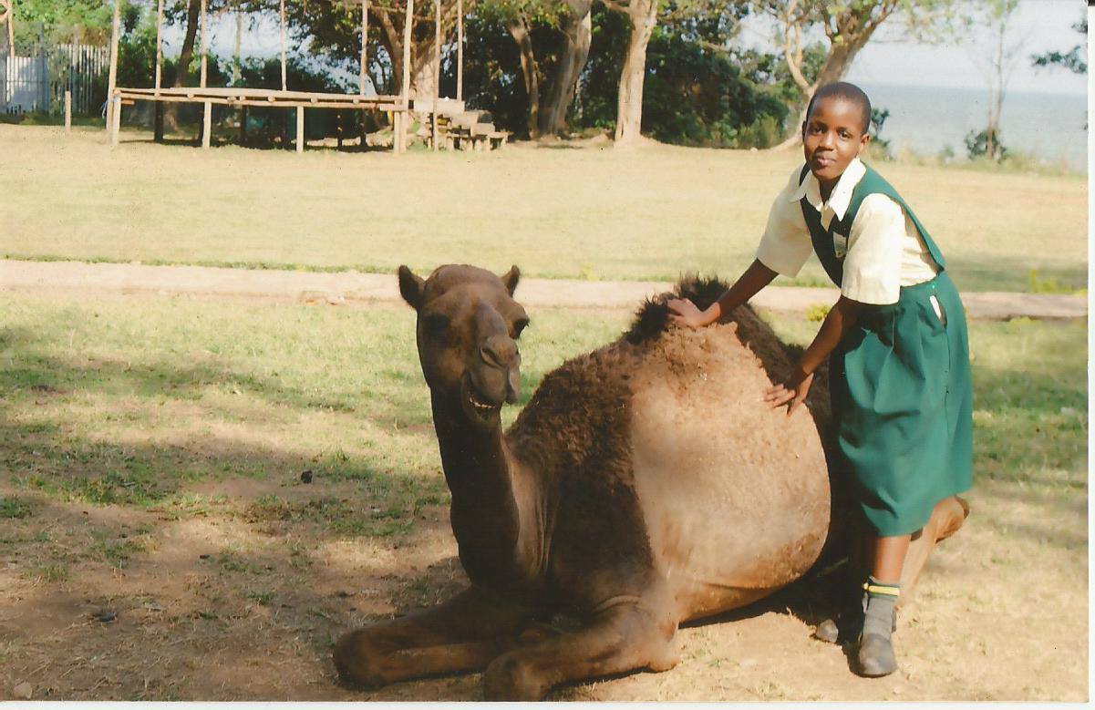 City junior day and boarding nursery and primary school kalerwe | Kampala