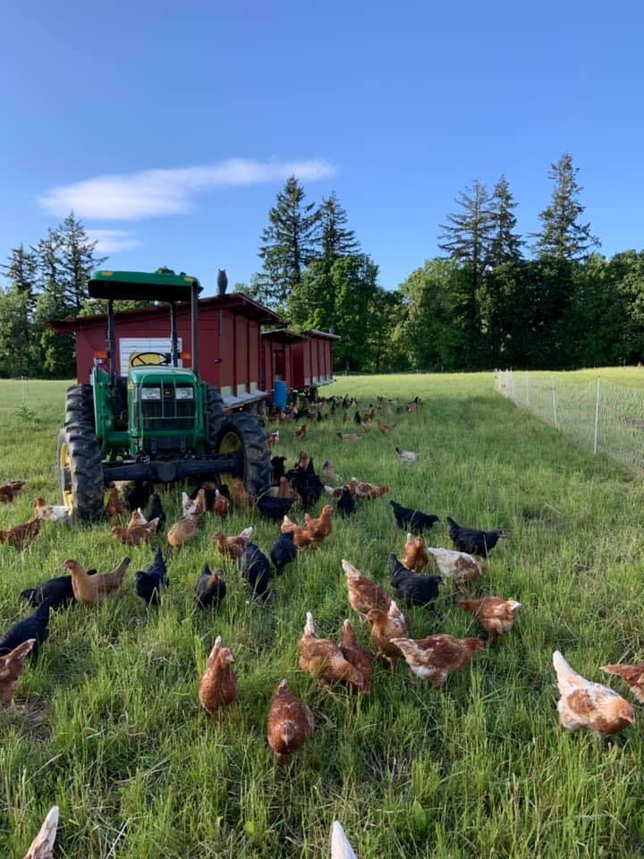 Feather Root Farms