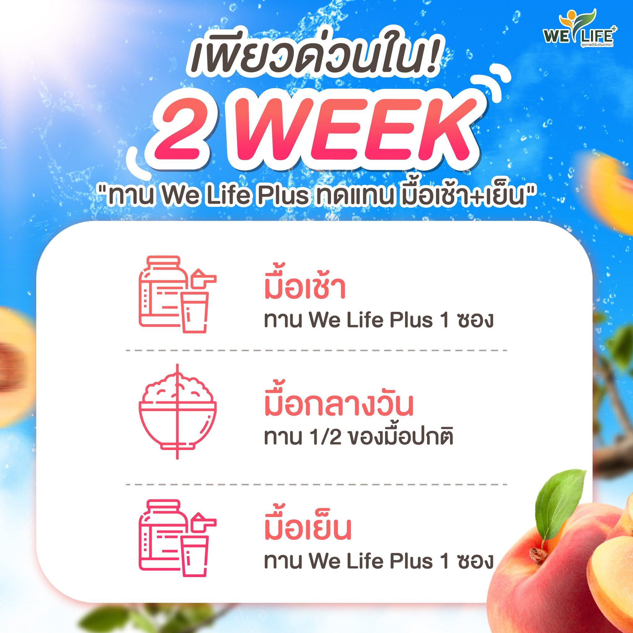 Welife Plus