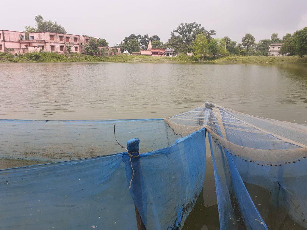 Mithila Biofloc Fish Farming Training and Research Center-MBFFTRC added ...