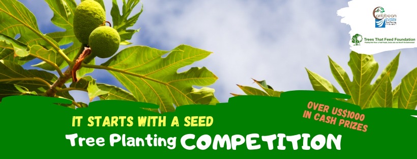 Our Heroes' Tree Program... - Our Heroes' Tree Program