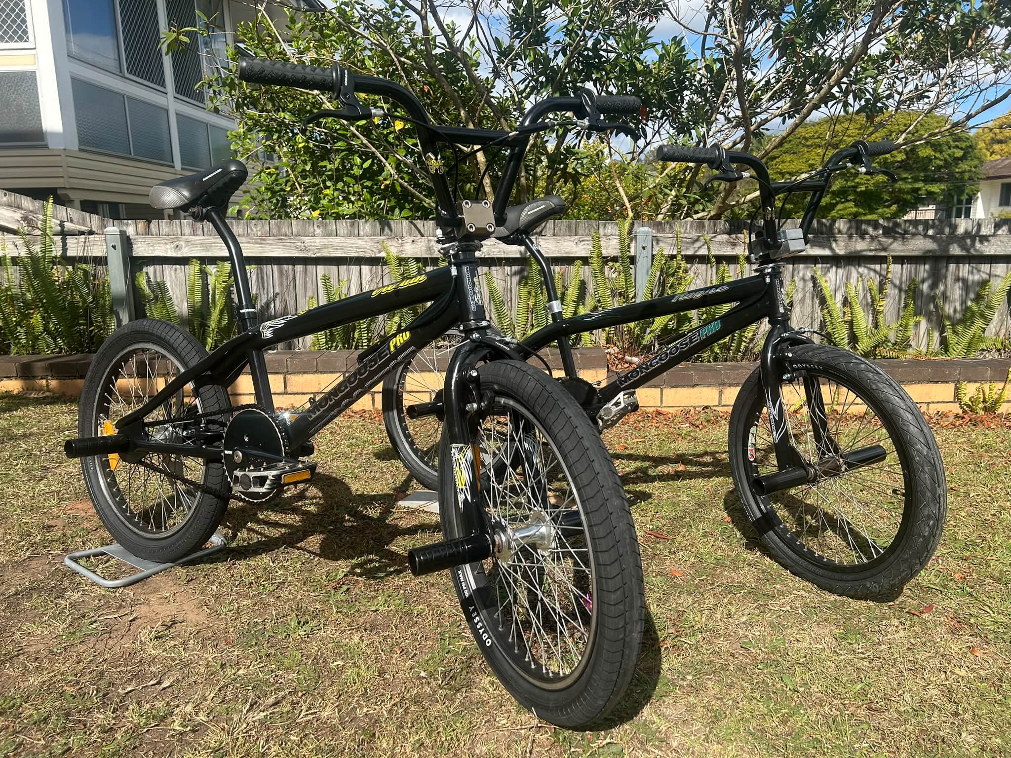 2002 Villain and 2002 Rogue owners seeking Alex MX22 rim or front