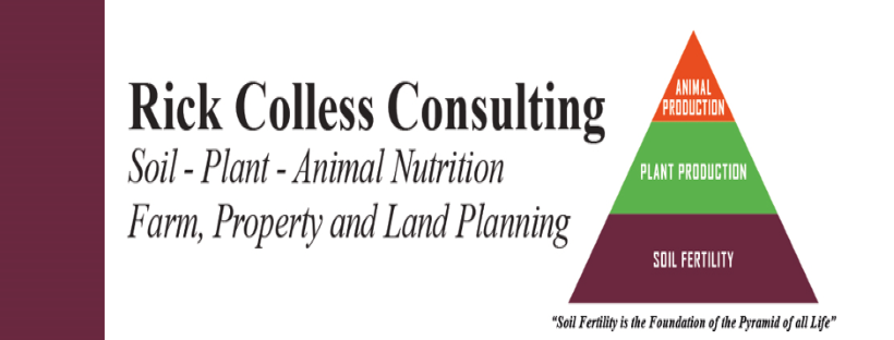 Rick Colless Consulting
