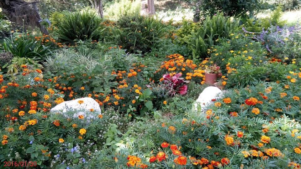 Lusoi Farm & Homestay