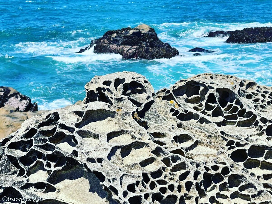 Salt Point State Park位於Sonoma... - 時空旅人札記 travelhackfun
