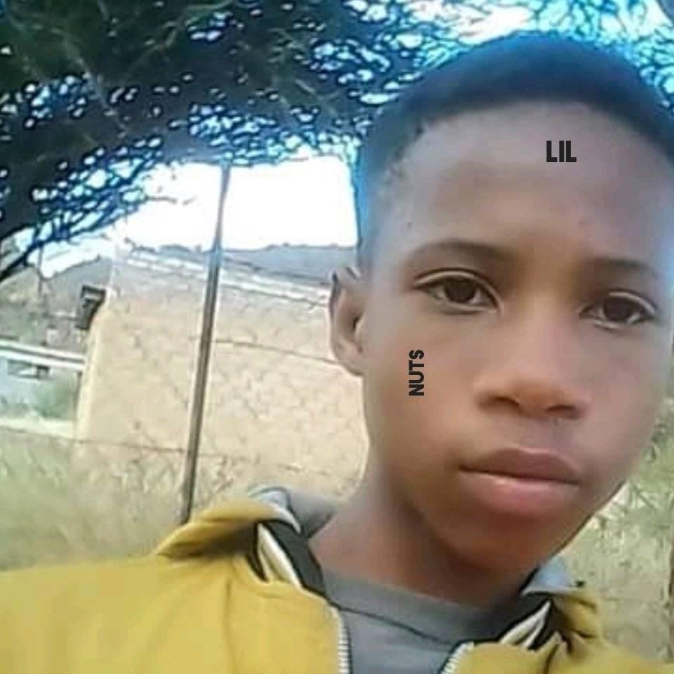 Lil-Nuts Rsa