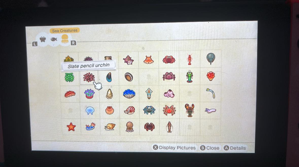 What sea creatures are missing and when are they available in