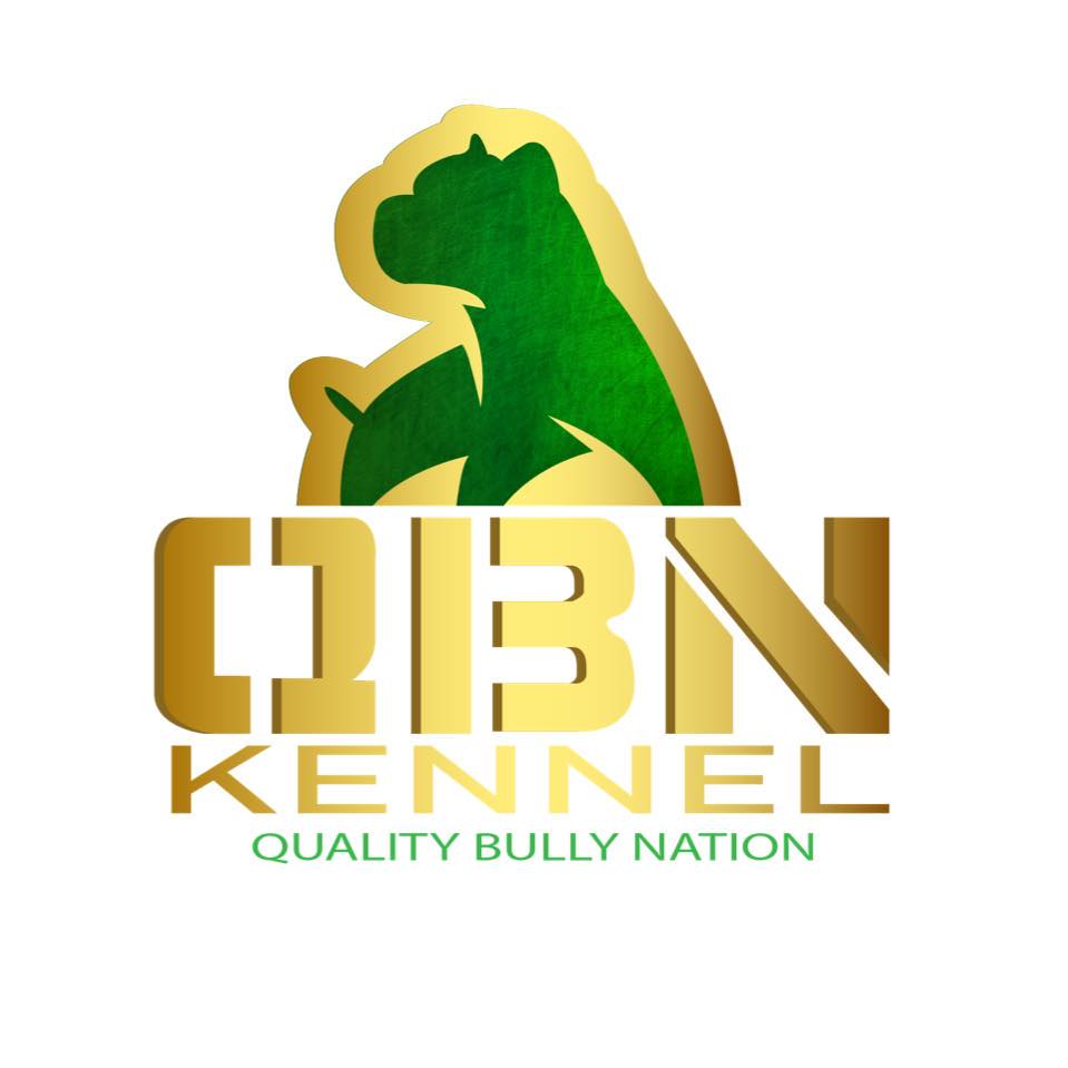 QBN Kennel - Why Your Dog's Yeast KEEPS COMING BACK‼️ Go... | Facebook
