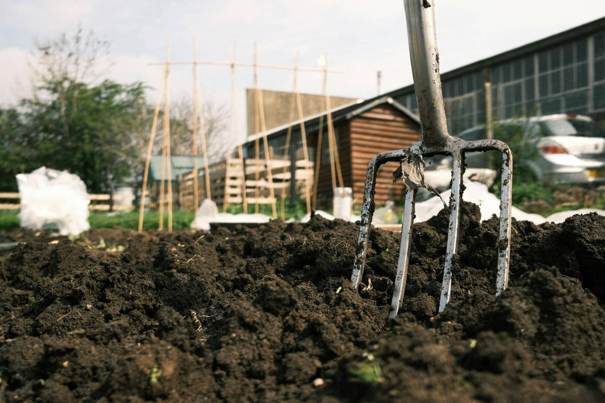 Bampton - 🪴ALLOTMENT PLOTS AVAILABLE! 🪴 We currently have allotment ...