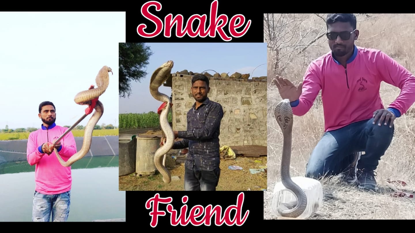 Sarpmitr subani shaikh