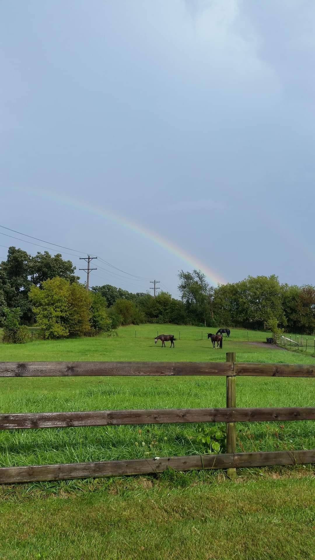 Coral Ridge Stables | Marengo IL