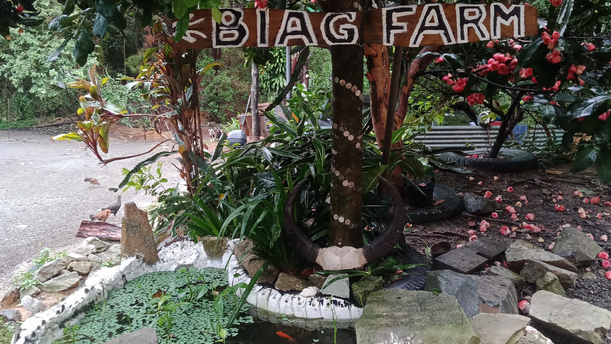 Bio Integrated AGricultural Farm - B.I.AG farm | Bokod