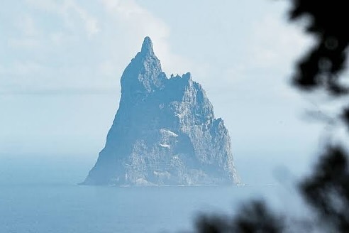 Lord - Mighty Ball's Pyramid 🙌 The world's tallest sea stack lies just ...