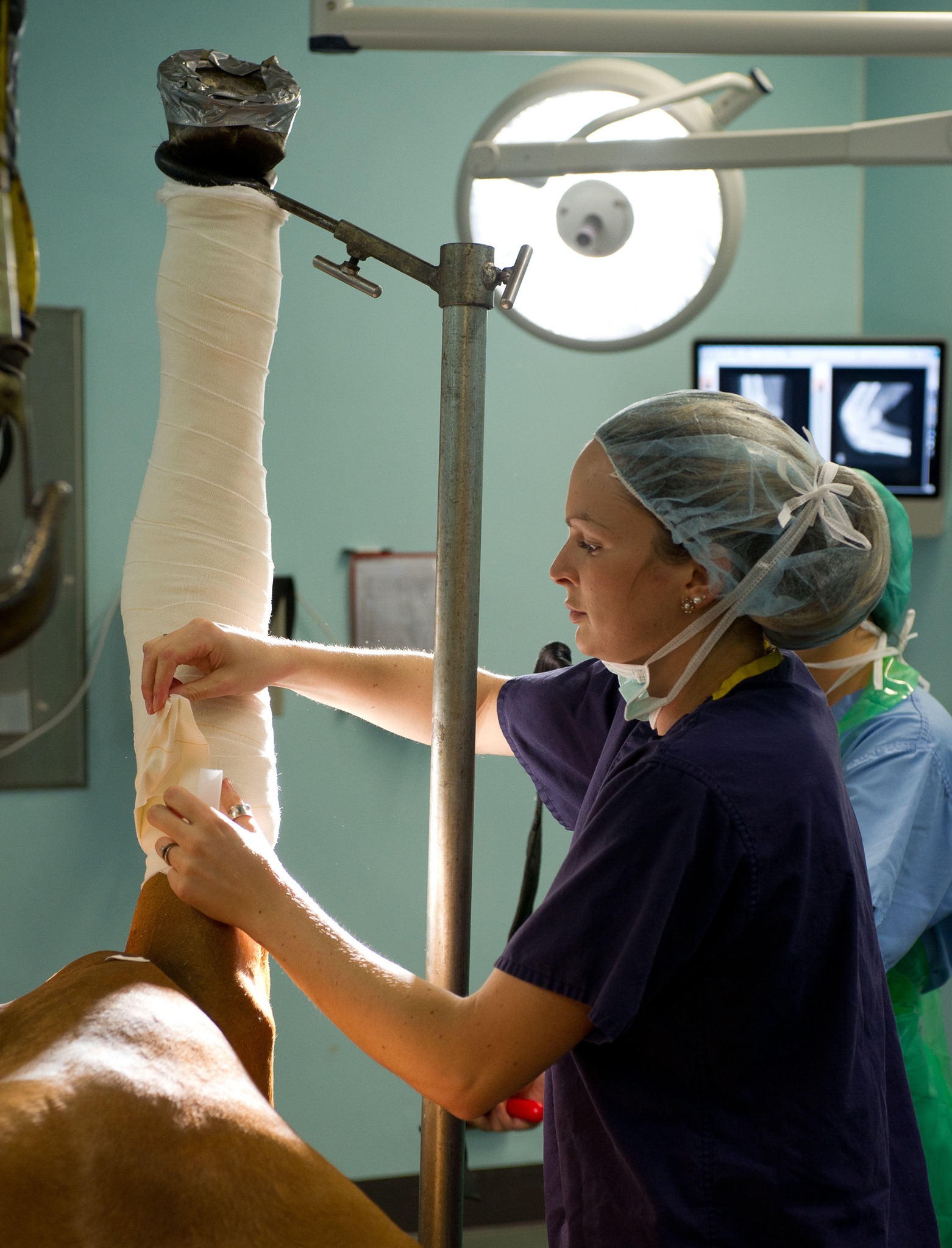 Rossdales Veterinary Surgeons - Natalie Fisk rounds off the profiles of ...