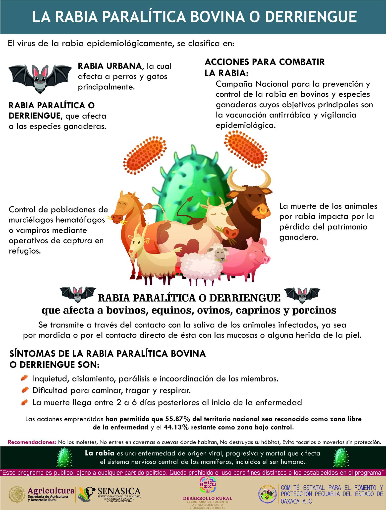 Comité - #SabiasQue!! La rabia paralitica bovina es una enfermedad ...