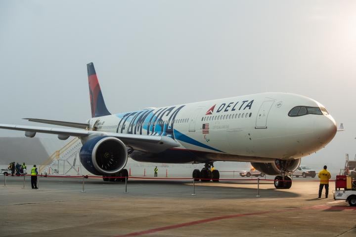 SPECIAL LIVERY / Delta unveils custom aircraft livery to celebrate