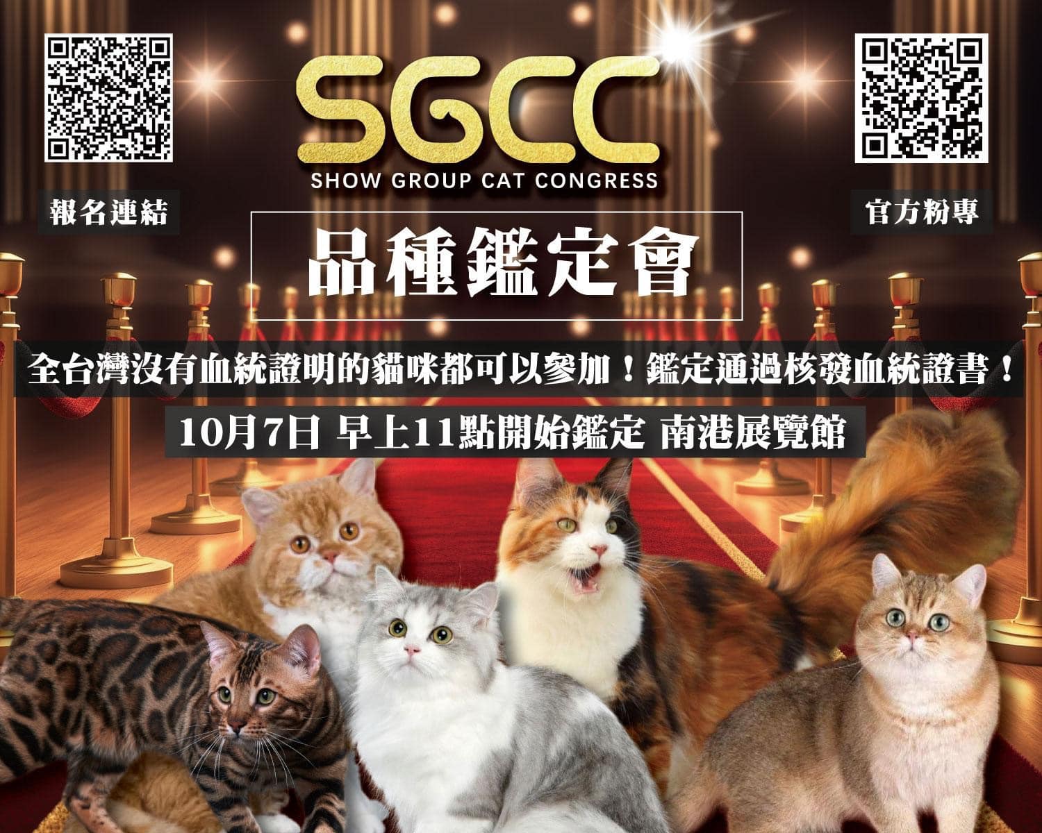 🐱SGCC血統鑑定會🐱... - SGCC國際賽貓聯盟Show Group Cat Congress | Facebook