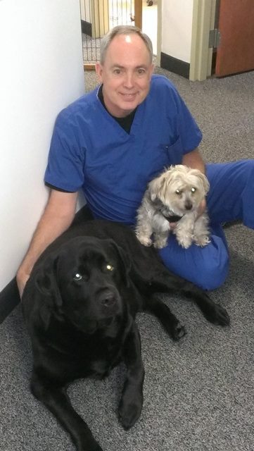 Trivia : what is the largest tendon... - Thomas W Inwood DPM