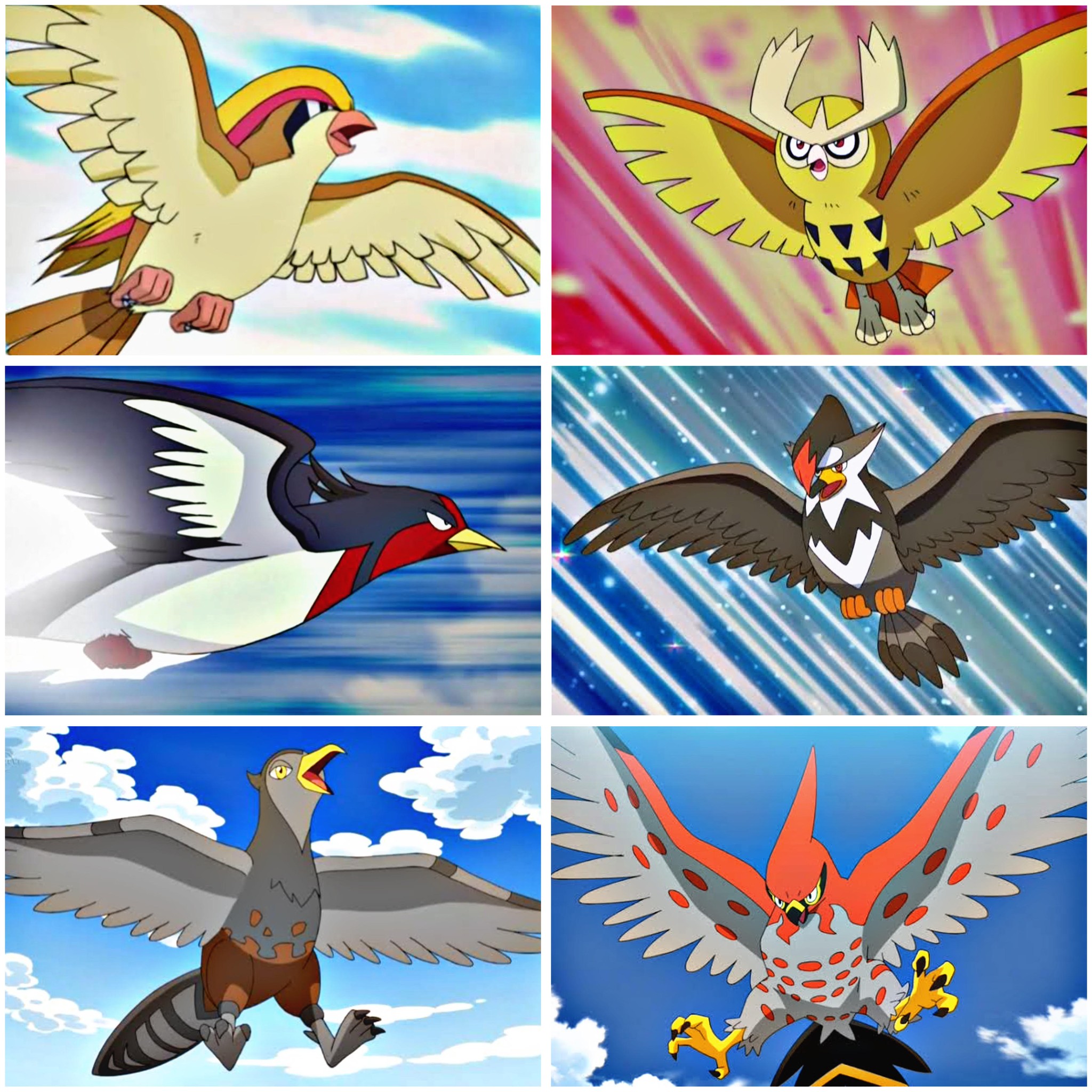 Las aves Regionales que tuvo Ash...... - Colecciones Budokan | Facebook