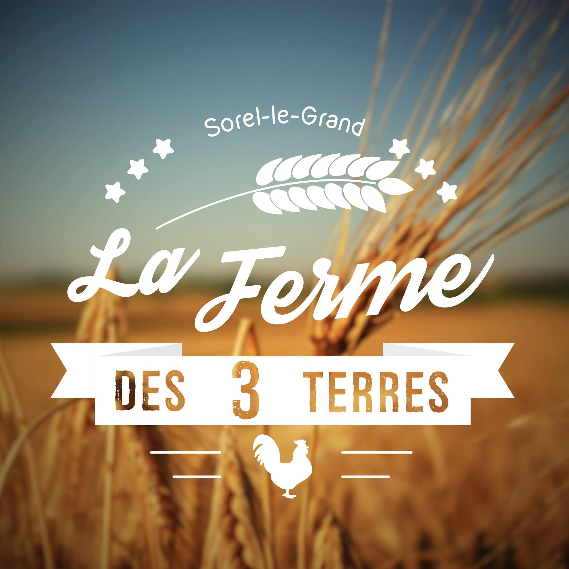 La Ferme des 3 Terres added a new... - La Ferme des 3 Terres