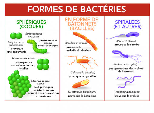 microbiologie-de-a-z