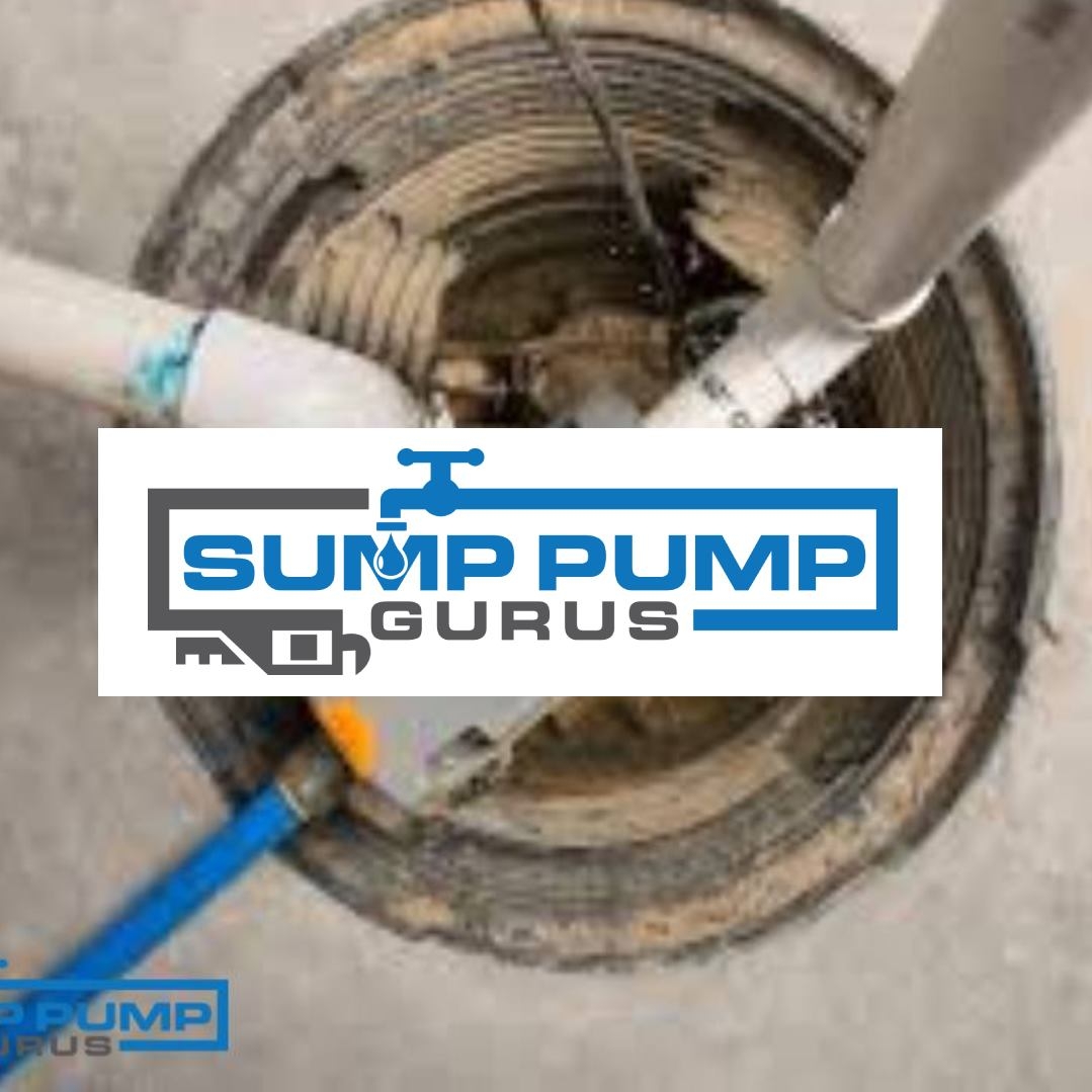 Sump Pump Gurus Jenkintown - Iron Eating Bacteria A naturally occurring ...