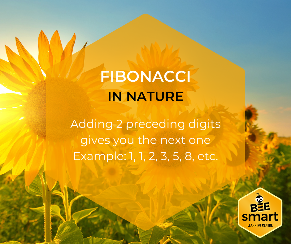 The Fibonacci sequence is... - Bee Smart Learning Centre
