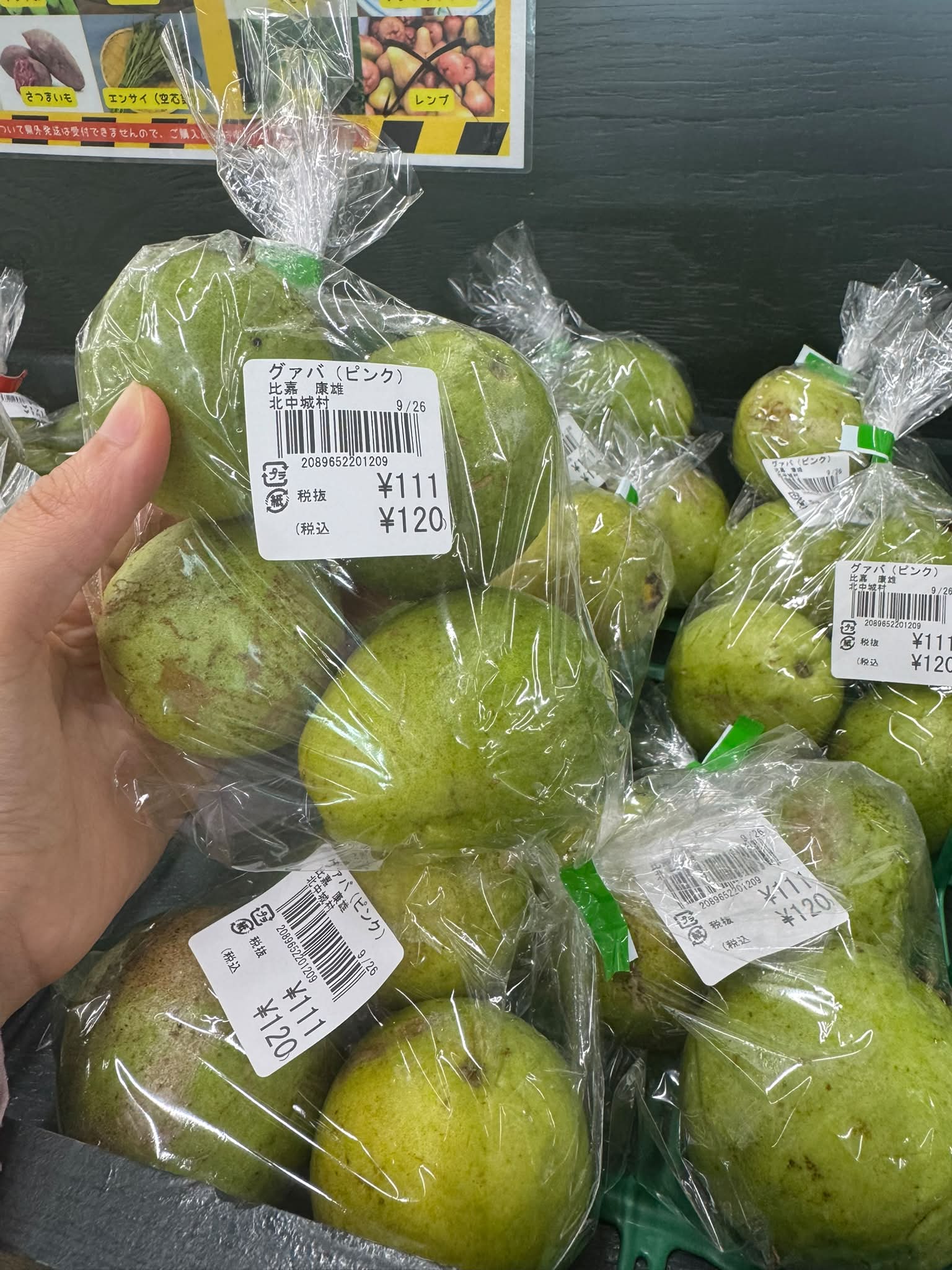 Ổi ruột hồng thơm và rẻ hơn ổi ruột trắng ở Okinawa