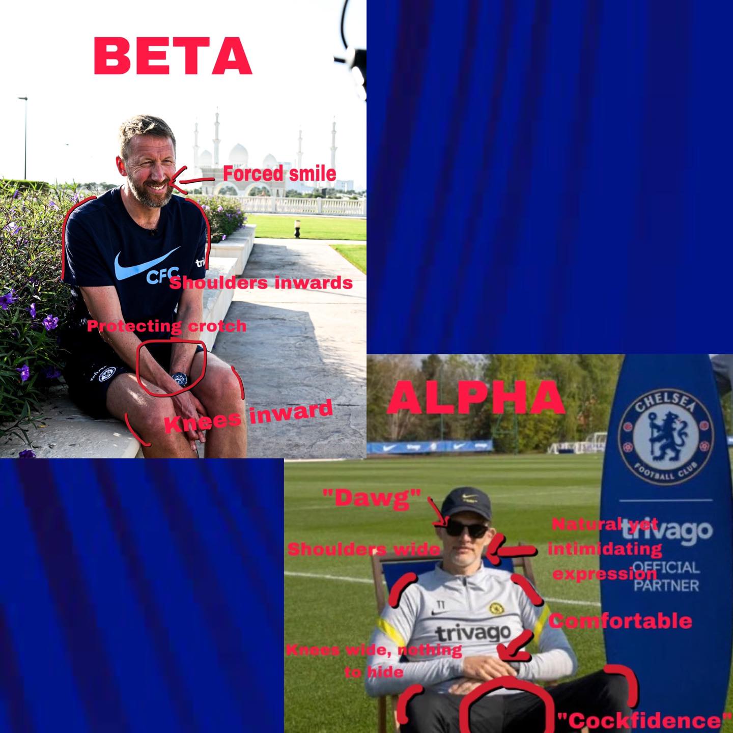 ภาษากาย Beta vs Alpha 🦁🔵 🏴󠁧󠁢󠁥󠁮󠁧󠁿... - Chelsea FC Thailand