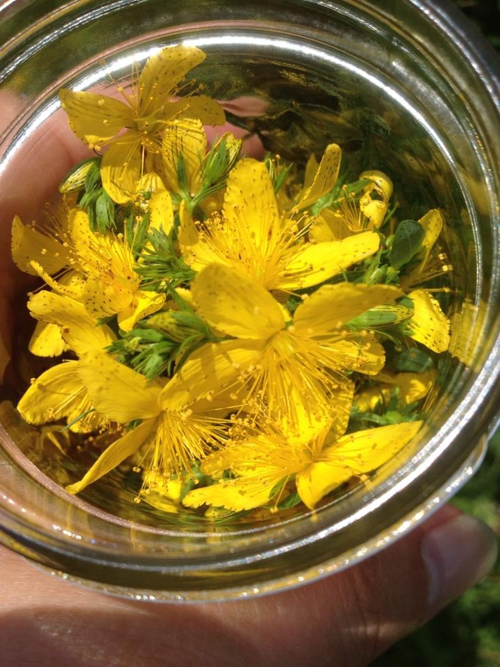 Among over-the-counter (OTC) products for depression, St. John's wort, saffron, probiotics, and vitamin D have the strongest evidence of efficacy, new research showed. However, folic acid and lavender also show promise and