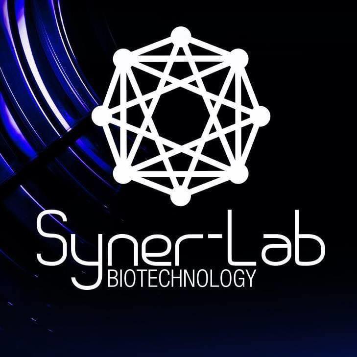Syner Labs Tech Tijuana