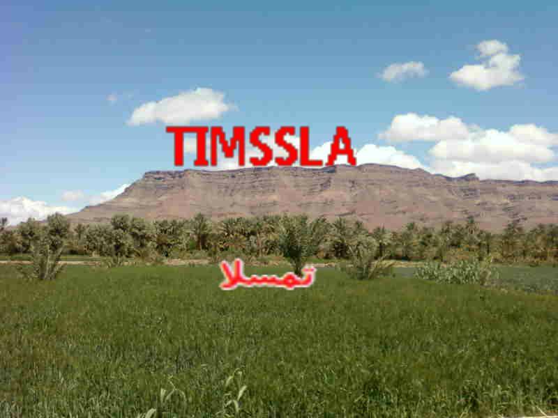 تمسلا الجديدة:timsla | Facebook