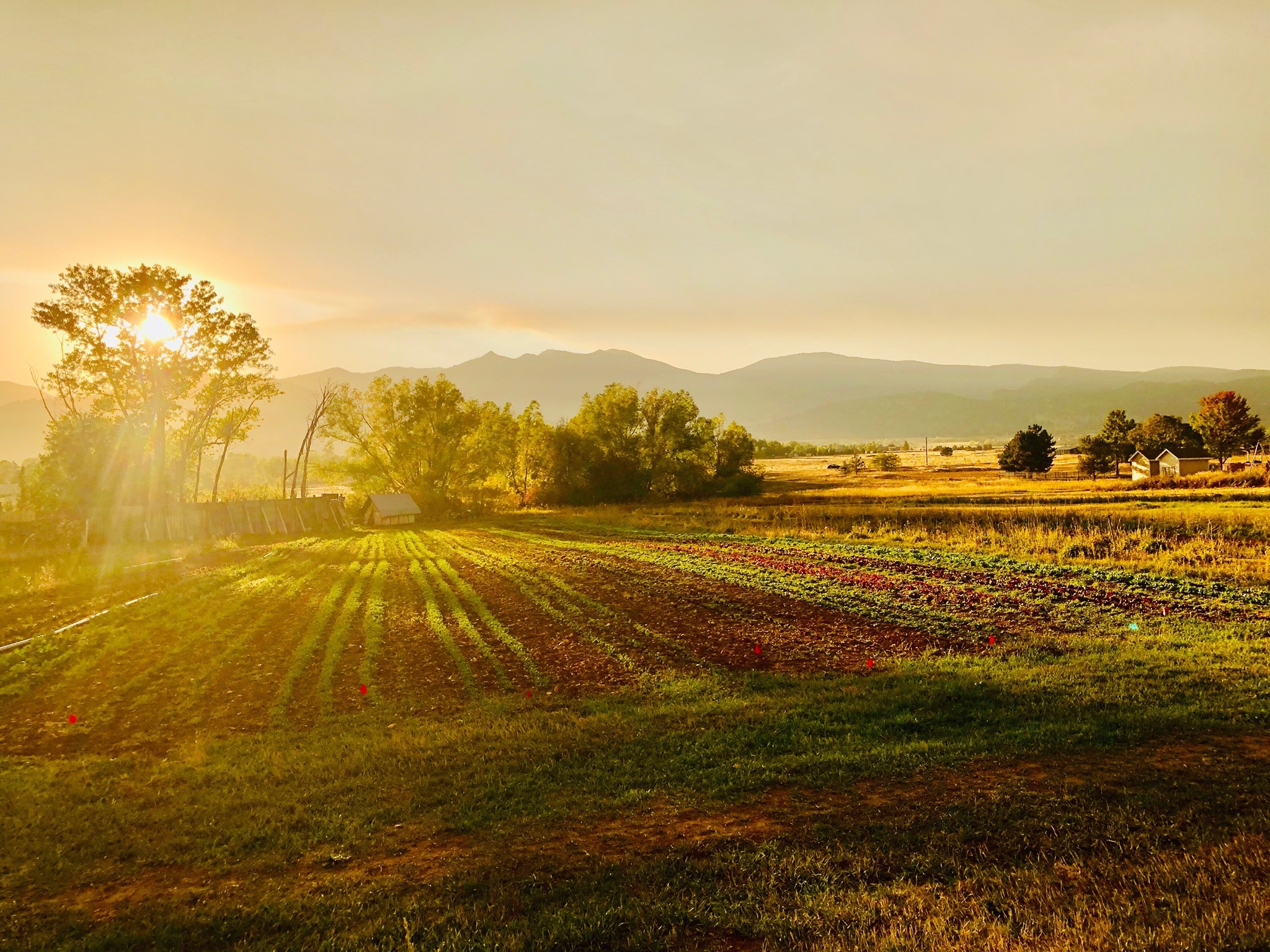 Pastures of Plenty | Longmont CO