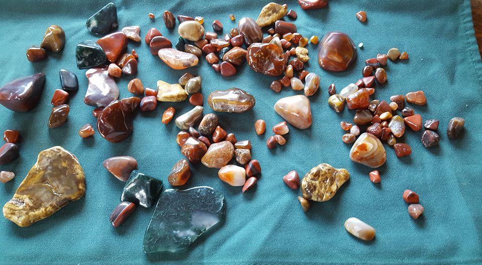 Red Cedar Rocks and Rarities