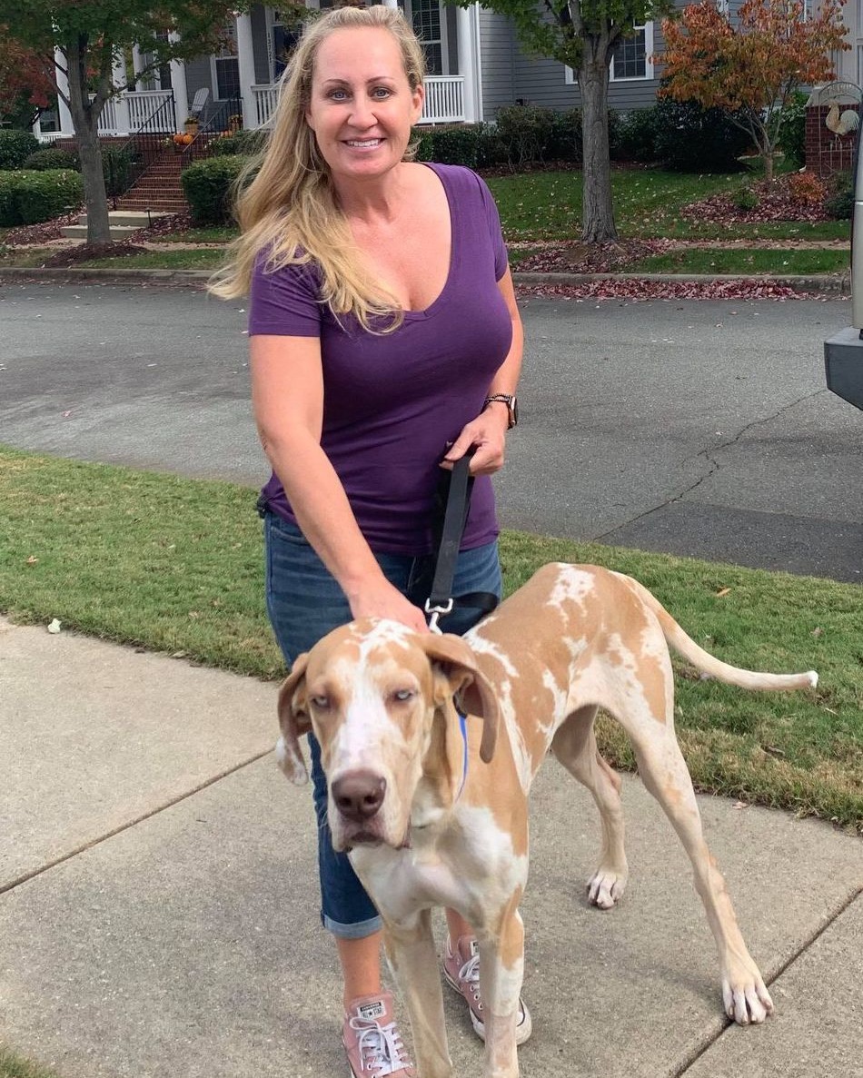 Our sweet , handsome boy... - Great Dane Friends of Ruff Love