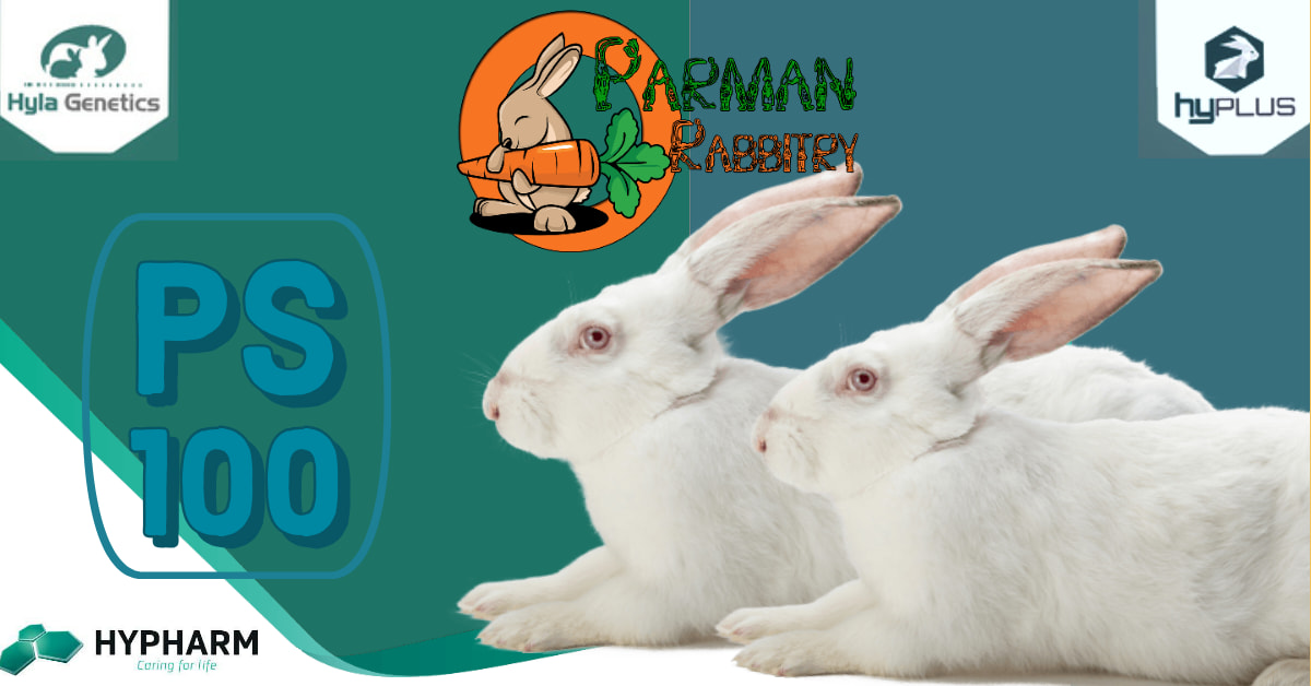 AC Rabbit Farm - AC Rabbit Farm added a new photo.