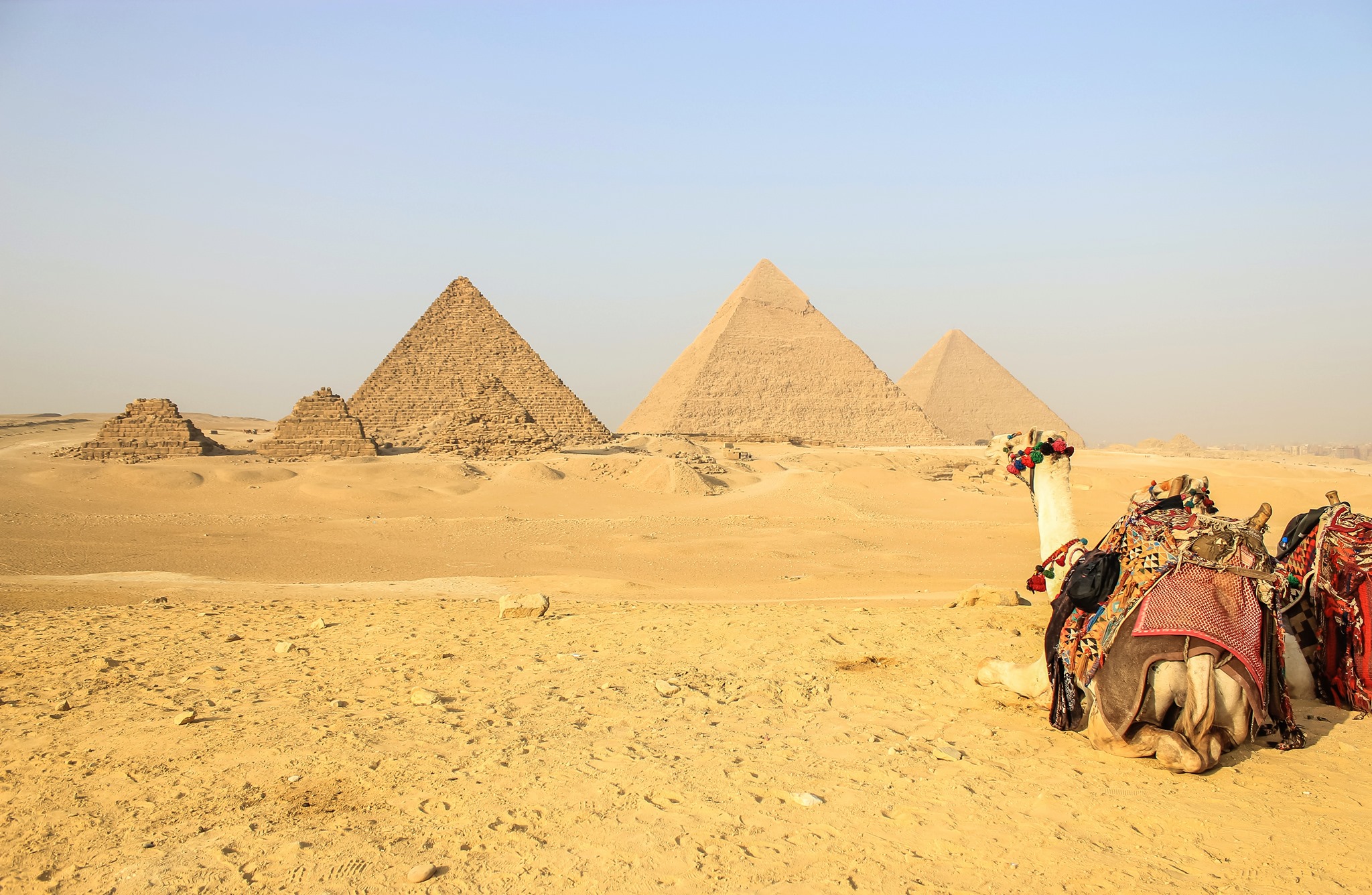 Egypt Tours Excursions - Leave your ship in Alexandria and escape for a ...