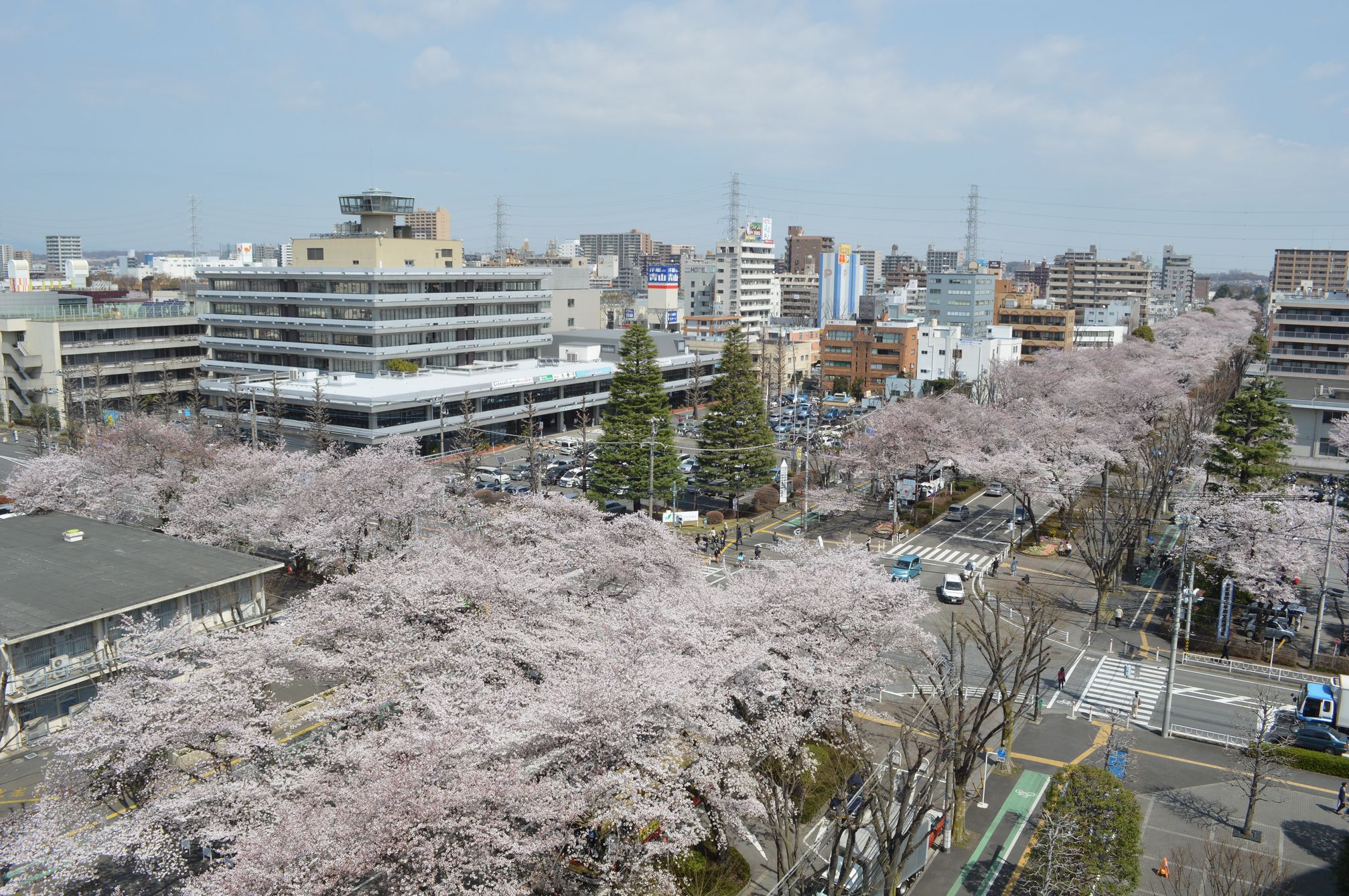 相模原 市 中央 区