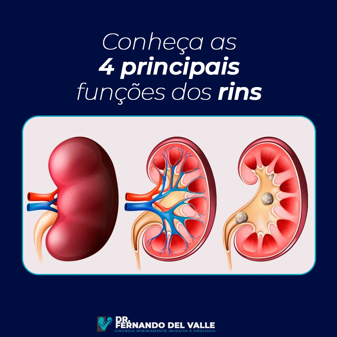 🔷Os rins são um dos órgãos vitais... - Dr. Fernando Del Valle