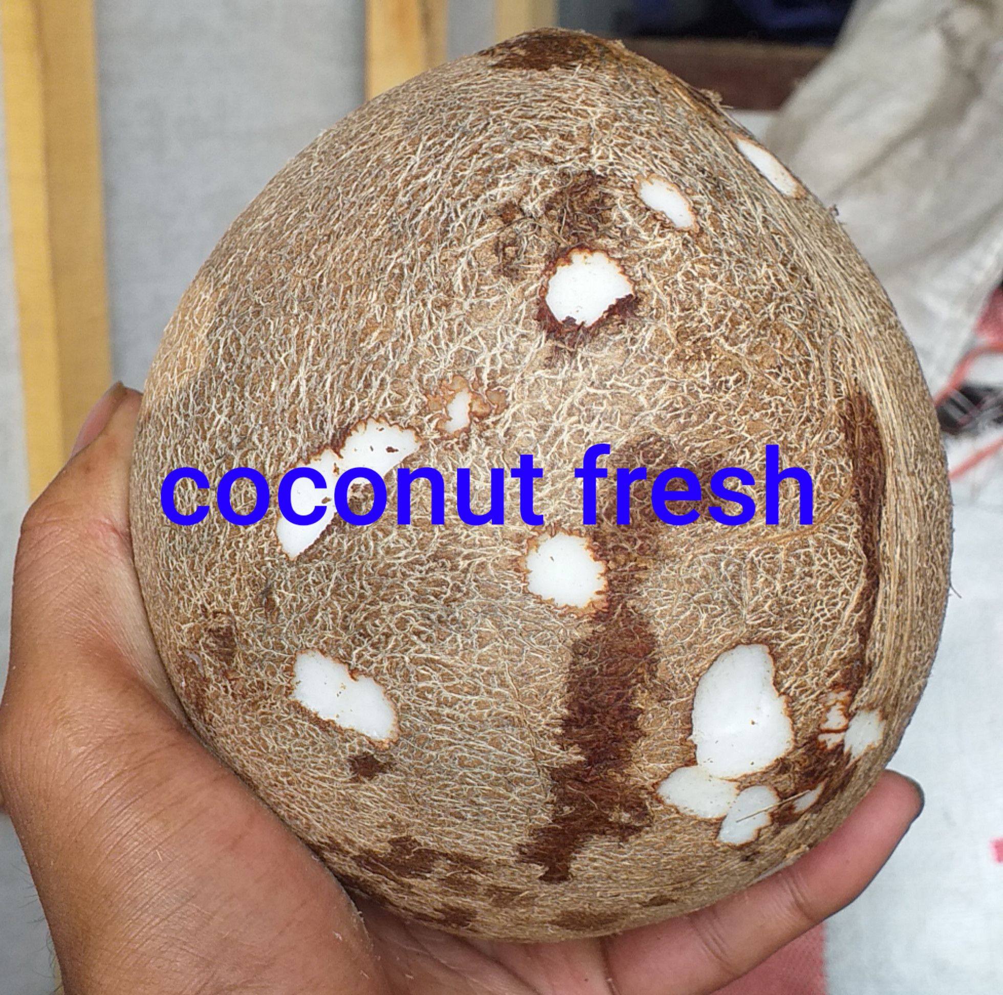 Coconut shell crarf ideas? #coconut #satisfying #cuttingskills #fruits ...