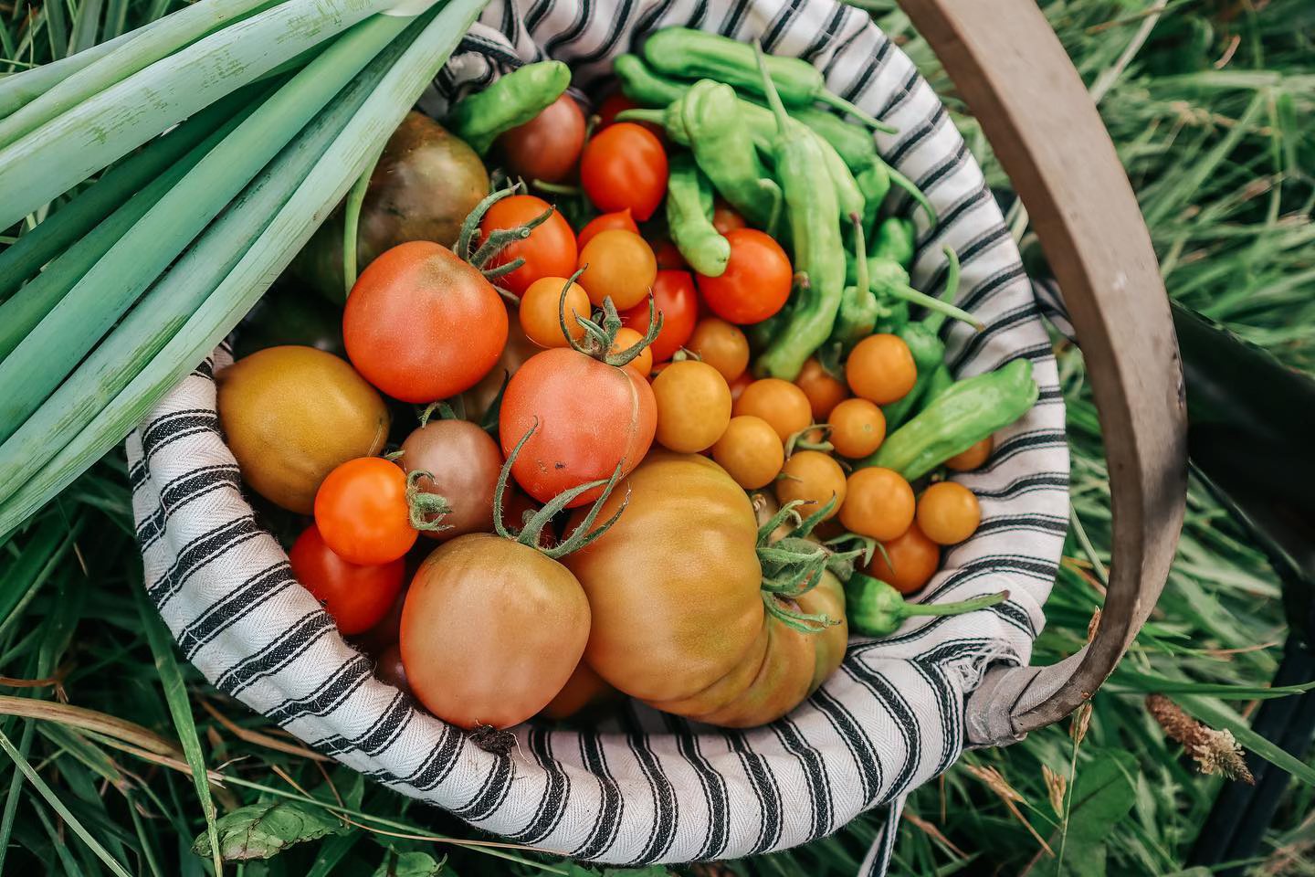 Honey Trail Farm | Modoc IN