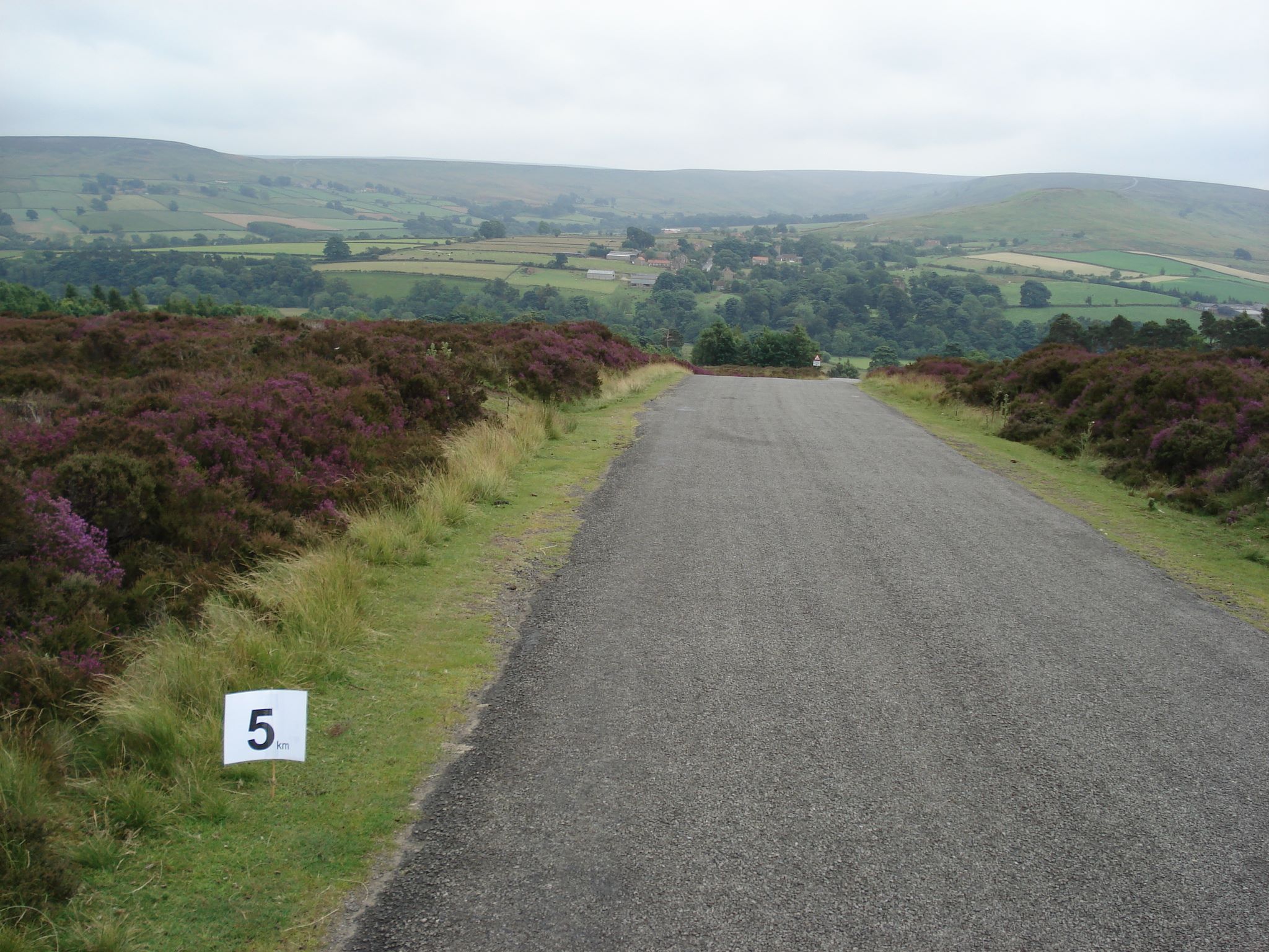 Castleton Show Run